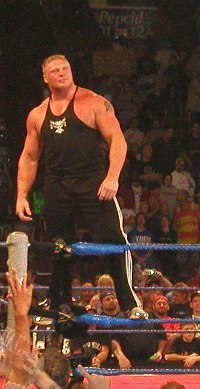 Brock Lesnar went on to win the WWE Undisputed Championship at Summerslam