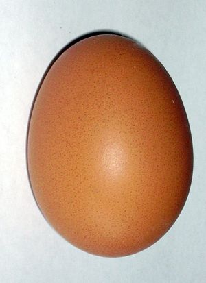 Brown chicken egg.jpg