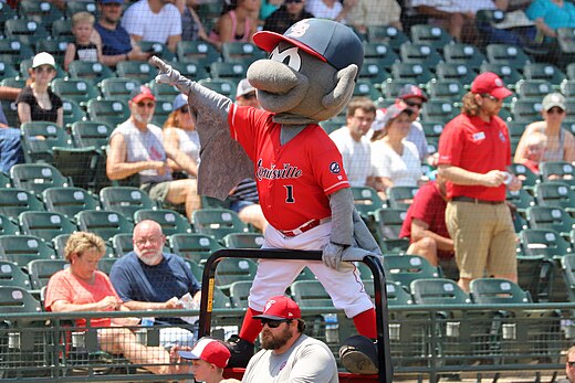 Buddy Bat, the team mascot