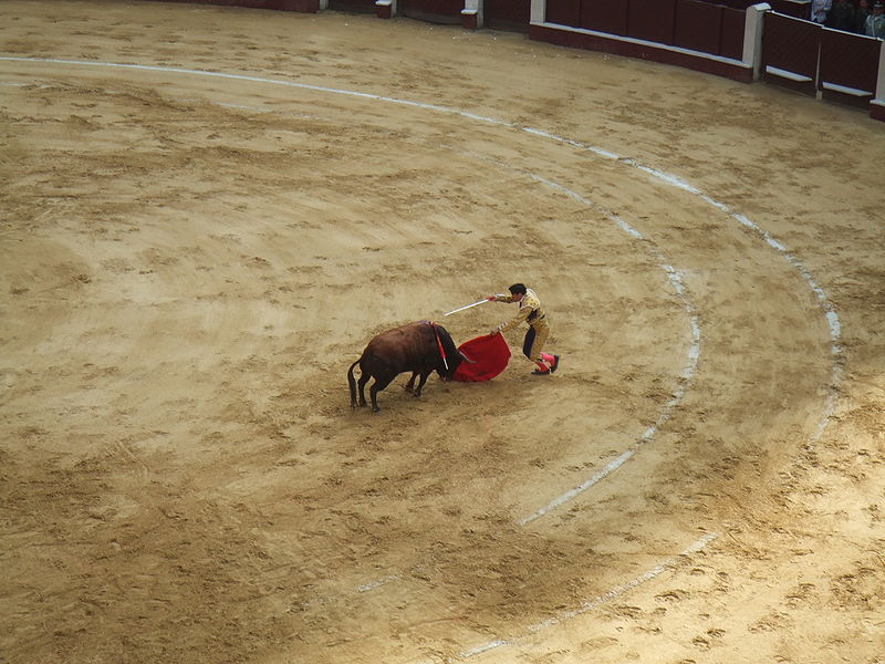 File:Bullfighting in Bogotá 3.jpg