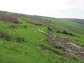 Nebenstraße in Richtung Mynydd y Gaer - geograph.org.uk - 2665449.jpg