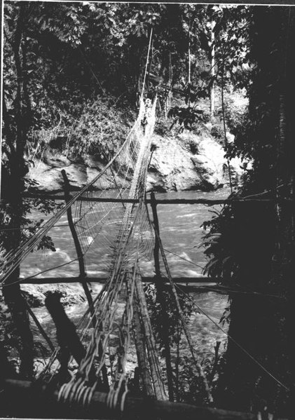 File:COLLECTIE TROPENMUSEUM Bruggen van rotan over een rivier op midden Celebes TMnr 60011684.jpg