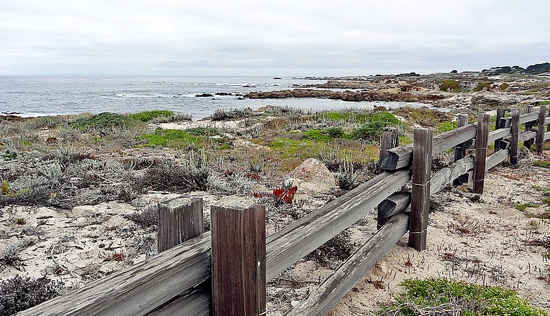 File:California-06601 - Asilomar State Beach (21542800160).jpg