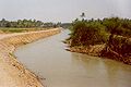 Canal principal de riego donde una de las márgenes fue limpiada mientras que la otra esta sin mantenimiento despues de varios años de uso