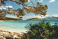 Platja de Formentor used on 3 pages in 2 wikis