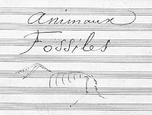 camillesaintsaens #saintsaens #carnavaldosanimais #carnivaloftheanima