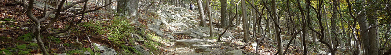 Catoctin mountain park banner.jpg