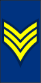 Calvary Dragoons Dress First Sergeant and NCO Staff