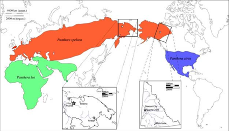 Tập_tin:Cave_lion_range.png