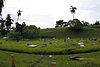 Cementerio Monte Esperanza