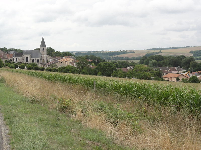 File:Chalaines (Meuse) vue du village.JPG