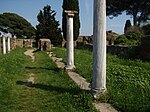 Basilica Cristiana