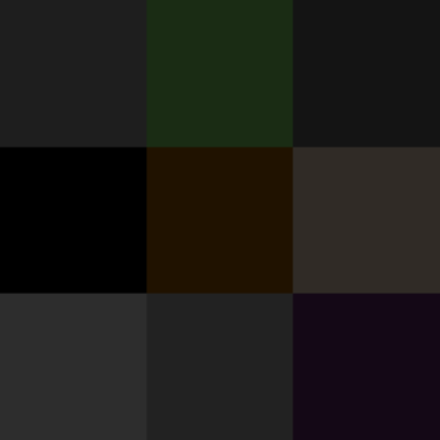 Negro (color)