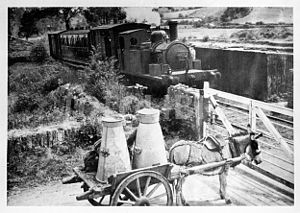 Courtmacsherry kereta dengan 2-6-0T lokomotif 'Argadeen' memasuki Stasiun di Timoleague 1910s.jpeg