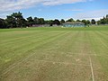Cricket pitch, Victoria Recreation Ground - geograph.org.uk - 3223049.jpg