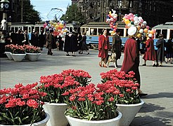 Der Nybroplan in Stockholm 1953