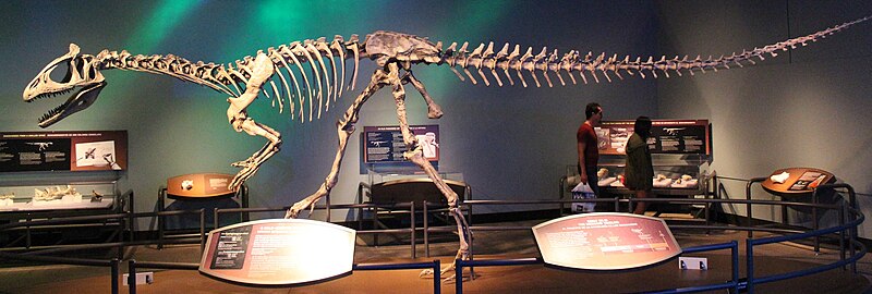 File:Cryolophosaurus skeleton mount FMNH.jpg