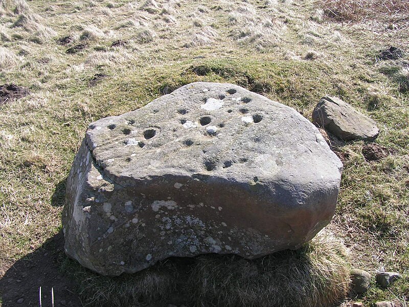 File:Cup and ring marked rock on Wandylaw Moor.jpg