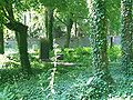 Abandoned Jewish cemetery