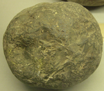 Πέτρινη μπάλα κανονιού που βρέθηκε μέσα στο Φρούριο Tây Đô