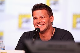 David Boreanaz (7594535540)