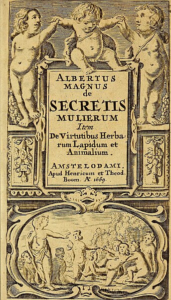 File:De Secretis Mulierum testua.jpg