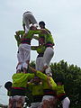 Diada castellera de les festes de primavera del 2014 a Sant Feliu de Llobregat. Hi actuaven els Castellers de Sant Feliu (camisa rosa), els Castellers de Viladecans (camisa verda) i els Castellers de Santa Coloma (camisa blau cel).Template:Location dec