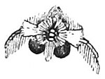 Die Gartenlaube (1890) b 763 4.jpg