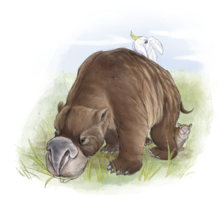 Diprotodon (Diprotodon optatum).png