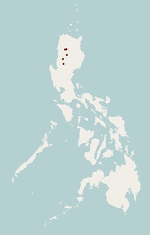 Répartition de Archboldomys kalinga.tif