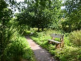 Donington and Albrighton Nature Reserve 02.jpg