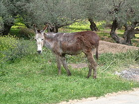 Crete, Greece