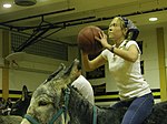 Thumbnail for Donkey basketball