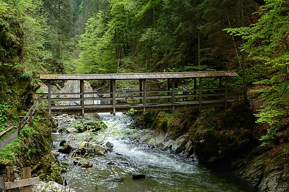 Bridge in Donnersbach gorge, Styria, Austria