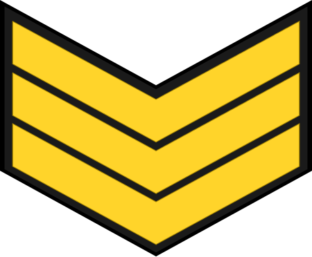 ไฟล์:EgyptianNavyInsignia-Sergeant.svg