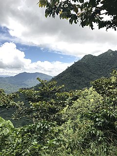 Sierra Madre de Chiapas moist forests Ecoregion in Mexico and Guatemala