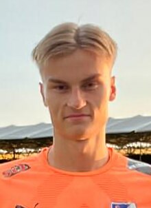 Elmo Henriksson 2023.jpg