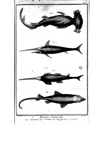 File:Encyclopedie volume 5-105.png