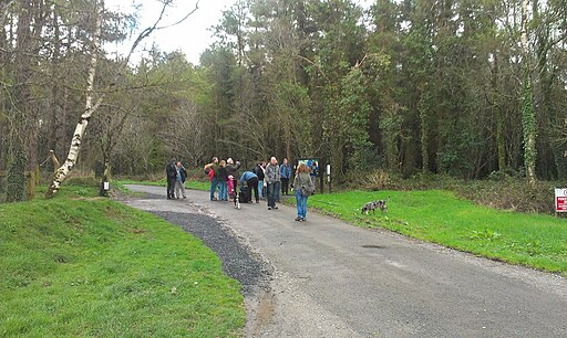 Entrance to Cratloe Woods - geograph.org.uk - 3919143