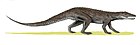 Erpetosuchus granti