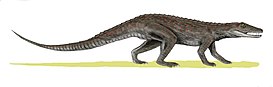 Life restoration of Erpetosuchus Erpetosuchus BW.jpg