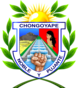 Escudo de Chongoyape.png