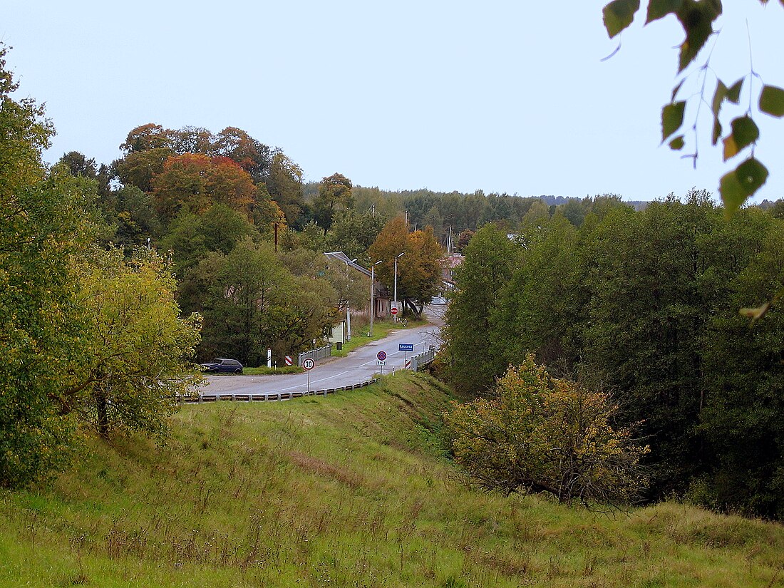 Route européenne 262