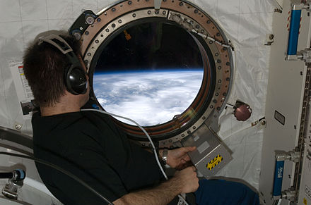 Engineer Gregory Chamitoff peering out of a window