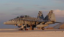 A tigerstripe-painted F/A-18D of VMFA(AW)-224 at Al Asad. FA18D Bengals.JPG