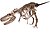 FMNH Daspletosaurus Beyaz Background.jpg