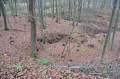 Teufelsgrund, Blick vom Damm nach Norden