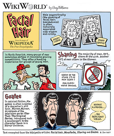 Facial Hair comic.jpg