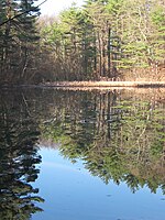 Fairyland Pond