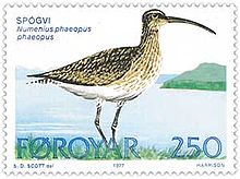 The whimbrel (Numenius phaeopus), known as spogvi, which comes in the early summer and leaves the Faroes in August to Africa and Southern Asia. Faroe stamp 024 whimbrel.jpg